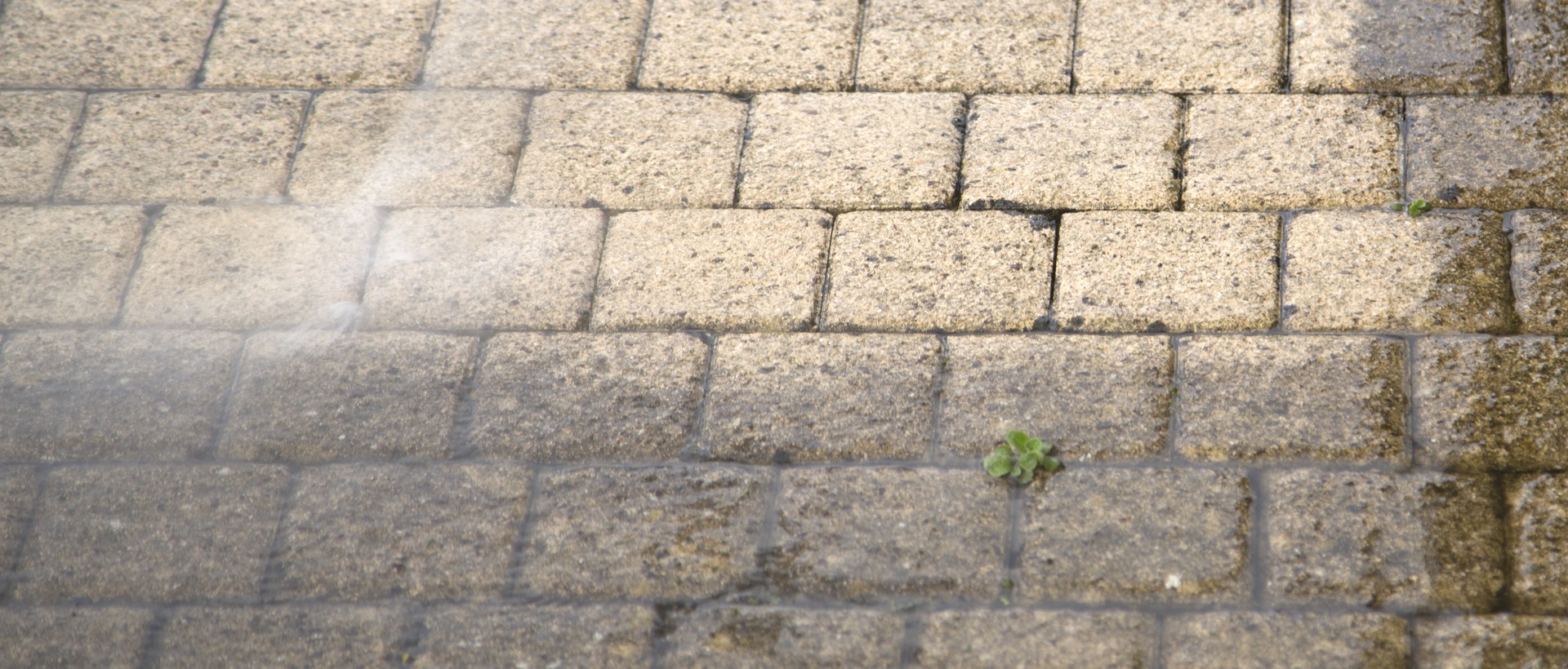 flagging and patios RM8