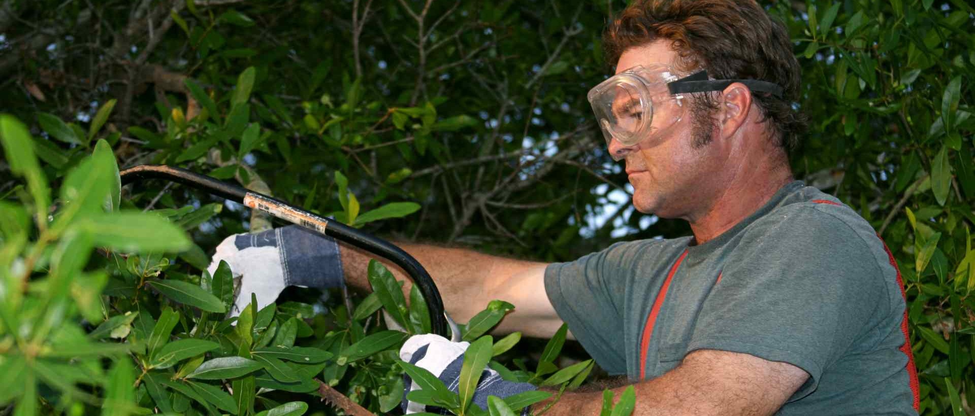 garden clearance RM8